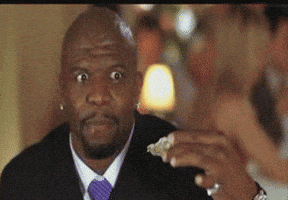 terry GIF