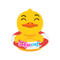 Fun Wink Sticker by VenturaPark Cancun
