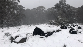 Mountain Snow in New South Wales as Temperatures Dip
