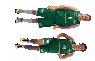 Sport Basketball Sticker by Basket_fi