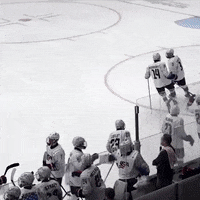 Ice Hockey GIF by USA Hockey