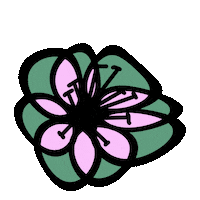 Pink Flower Sticker