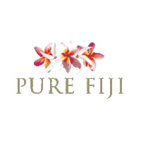purefiji skincare coconut oil fii purefiji Sticker