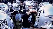Oakland Raiders Football GIF by NFL