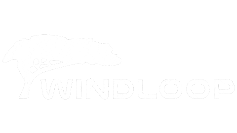 Kite Kitesurf Sticker by Windloop