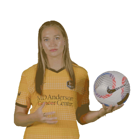 Houston Dash Sport Sticker by National Women's Soccer League