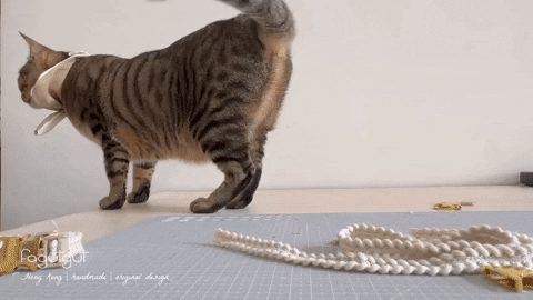 fagutgut giphyupload GIF