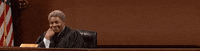 Lawyer Court GIF by Fyourticket
