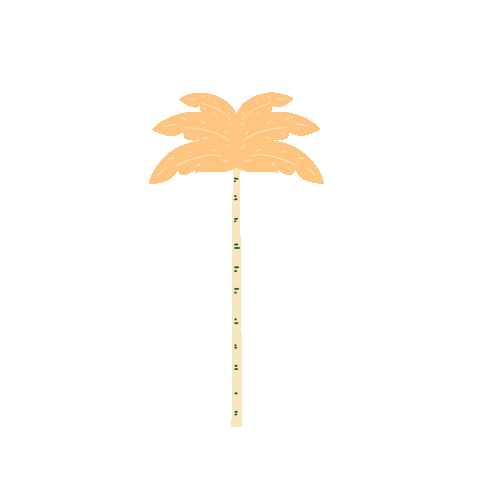 Bad Bunny Reggaeton Sticker by Baja Beach Fest