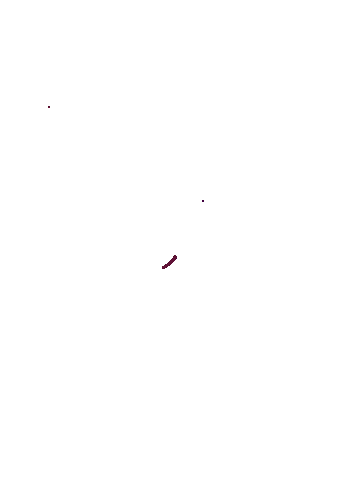 Arrow Wine Sticker by Timber Hill Winery