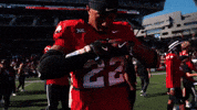 GIF by Cincinnati Bearcats