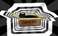 Cat Catnip GIF by sheepfilms