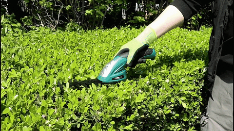 smegasplet giphyupload GIF