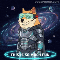 Happy Shiba Inu GIF by Doge Pound