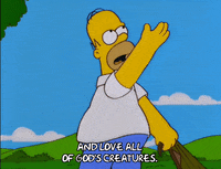 homer simpson episode 6 GIF