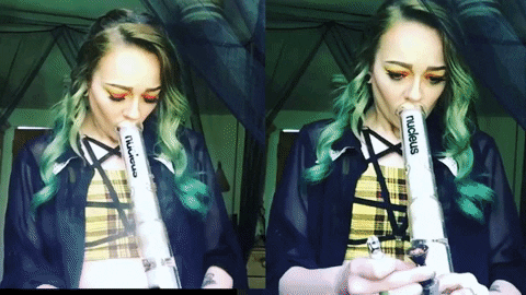 WeedNation giphyupload weed GIF