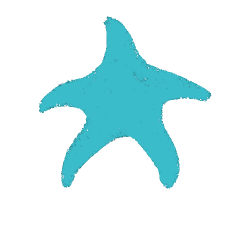 Starfish Sticker by Mar by Marabunta