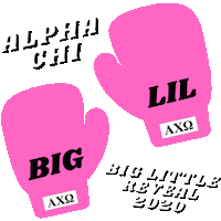 Tennessee Alphachi Sticker by UTK Alpha Chi Omega