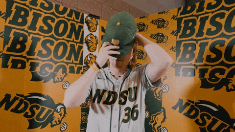 Baseball Bison GIF by NDSU Athletics