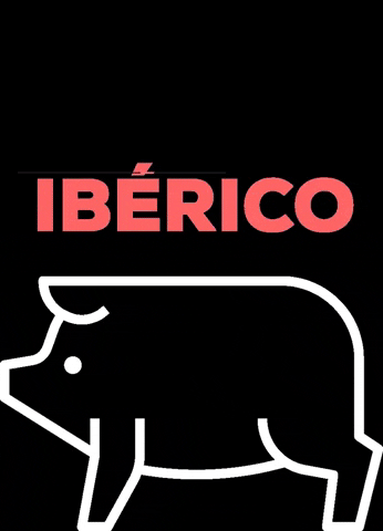 Pigletses giphygifmaker jamon piglets iberico GIF