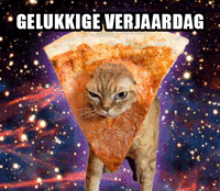 GIF by vrt