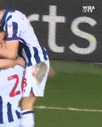 West Brom Wba GIF by West Bromwich Albion