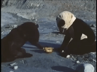 the right way help GIF by MANGOTEETH