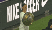 Womens Soccer Win GIF by National Women's Soccer League