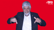 Spdbw Lookthere GIF by SPD Landtagsfraktion Baden-Württemberg