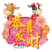 cnimalaysia cny chinesenewyear lunarnewyear 新年快乐 Sticker