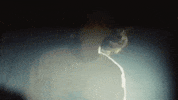 Band Fans GIF by modernlove.