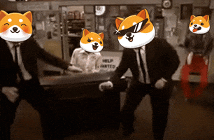 Fun Crypto GIF by Baby Doge Coin