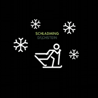Winter Skating GIF by Schladming-Dachstein