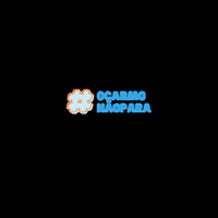 colegiodocarmo carmo GIF