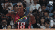 Vamos Lets Go GIF by Volleyball World
