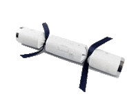 Christmas Cracker Sticker by Obagi UK & Ireland