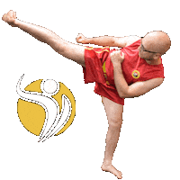 Martial Arts Sora Sticker by Champion Training Sanda Martial Art