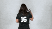 Lafayette Softball GIF by Lafayette Leopards