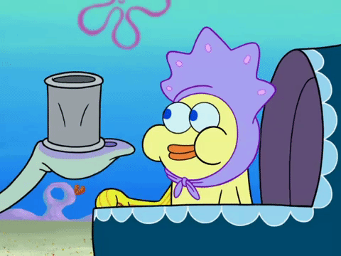 season 8 GIF by SpongeBob SquarePants