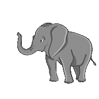 NicolRaidman love hearts elephant ניקול ראידמן Sticker