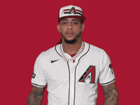 Arizona Diamondbacks Sport GIF by MLB
