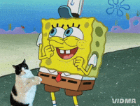 Spongebob Squarepants Cat GIF