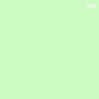 Summer No GIF by SVT