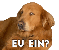 Meme Cao Sticker by Carol kyoko