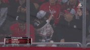hockey ice GIF by Capitals