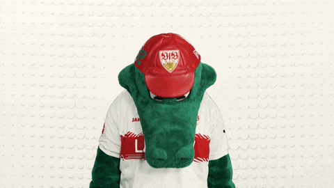 Look Up Vfb Stuttgart GIF by Bundesliga