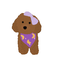Toy Poodle Wink Sticker