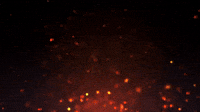 FPF Fire Logo