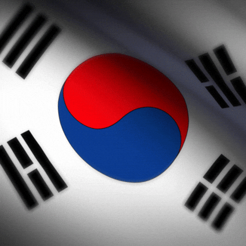 South Korea Loop GIF by xponentialdesign