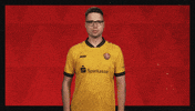 Dynamo Dresden What GIF by Bundesliga